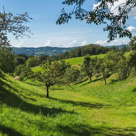 Gruenewaldhof In Rimbach Im Odenwald Lejlighed Eksteriør billede