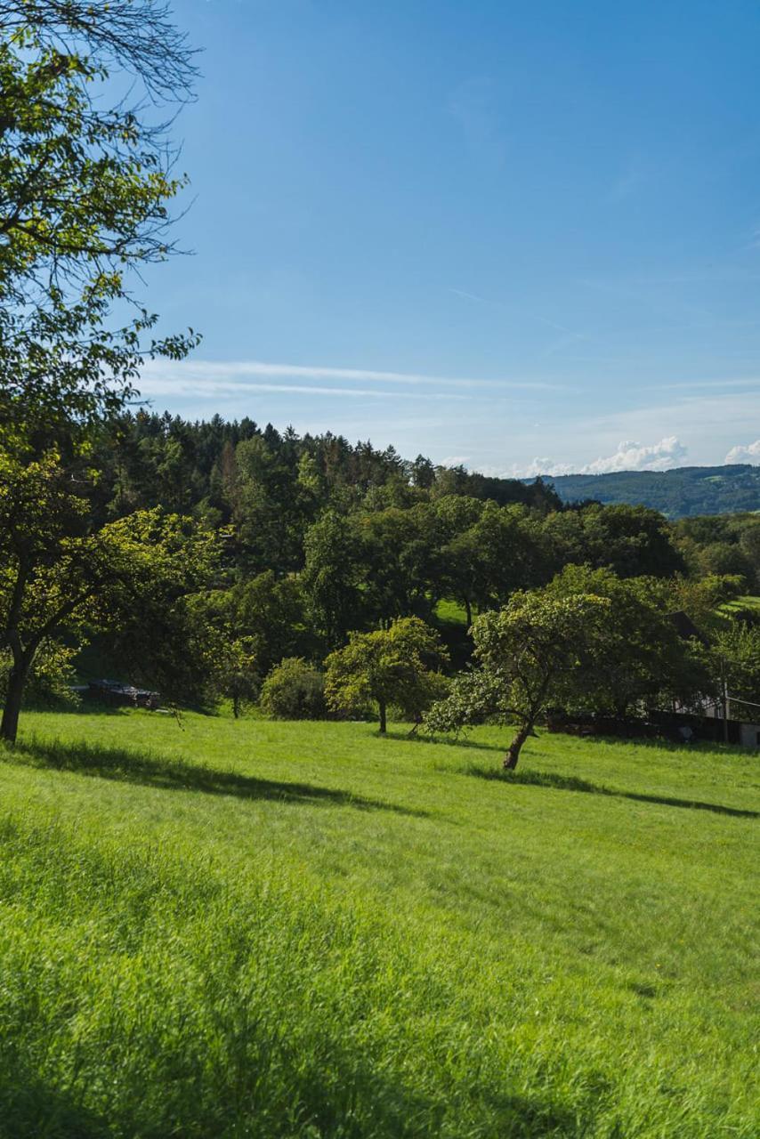 Gruenewaldhof In Rimbach Im Odenwald Lejlighed Eksteriør billede