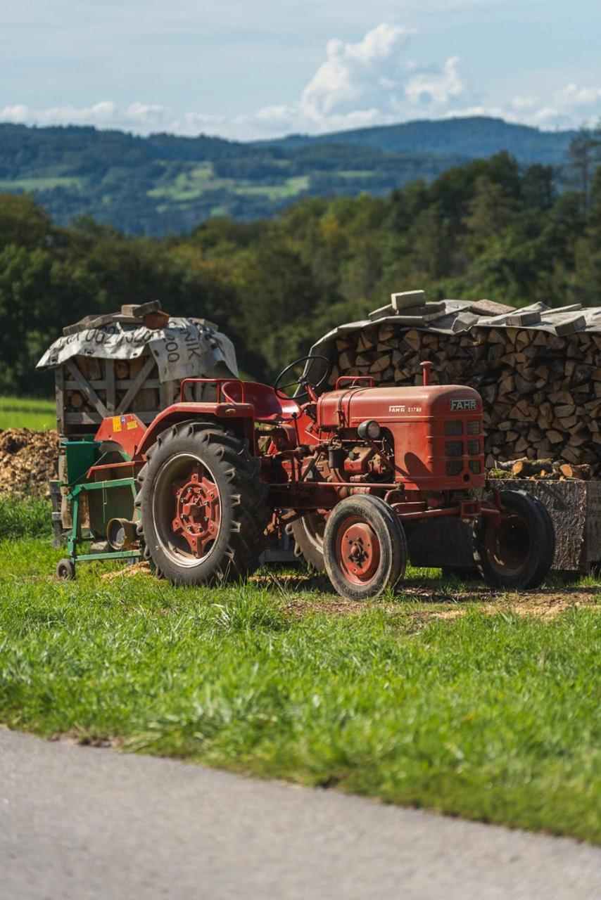 Gruenewaldhof In Rimbach Im Odenwald Lejlighed Eksteriør billede